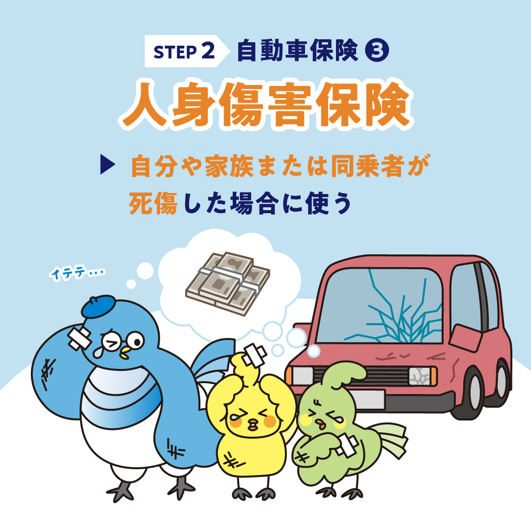 最適な自動車保険を選べてる？