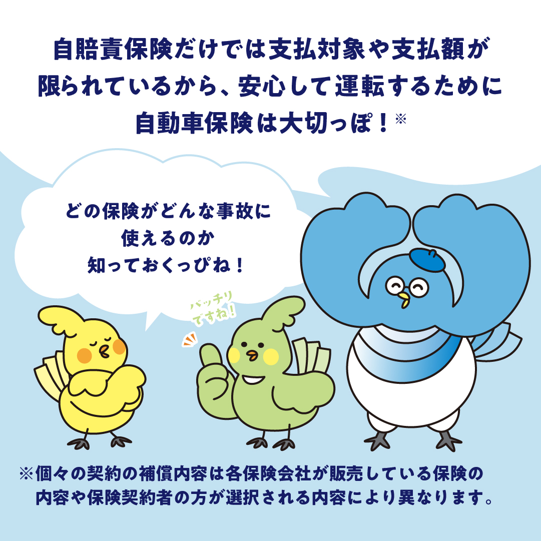 最適な自動車保険を選べてる？