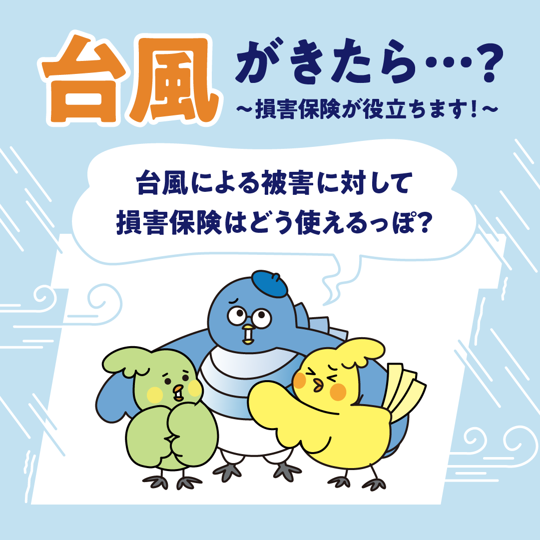 台風が来たら？