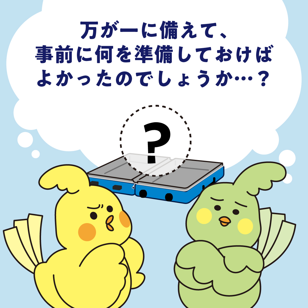 海外旅行を思いっきり楽しむために