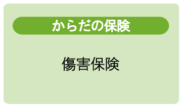 からだの保険